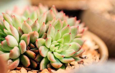 ծͳһϢ¶ծҪ˵顱